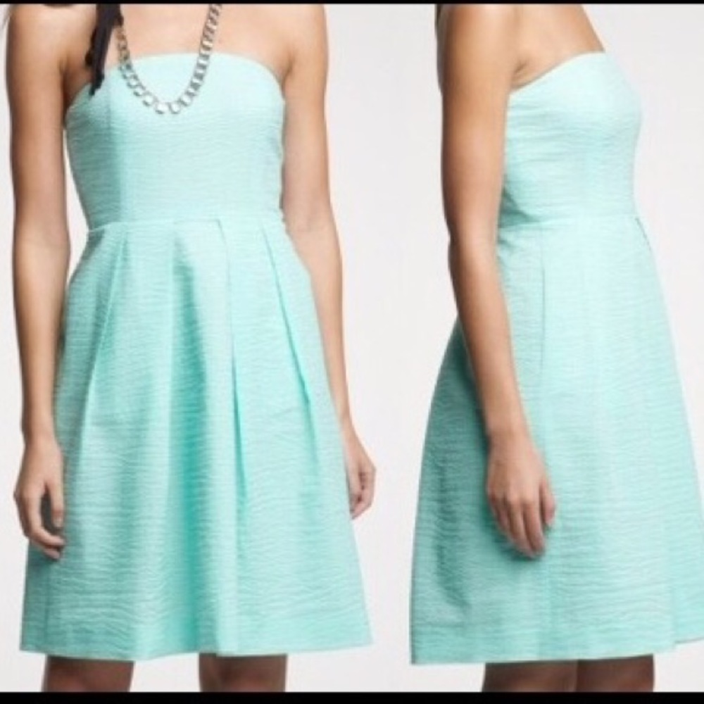 NWT- J. Crew Strapless Lorelei Dress